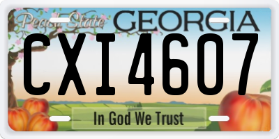 GA license plate CXI4607