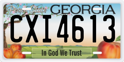 GA license plate CXI4613