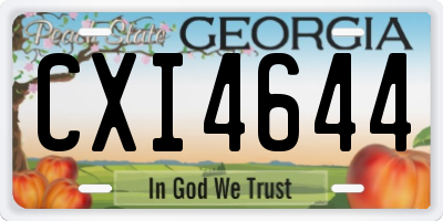 GA license plate CXI4644