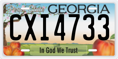 GA license plate CXI4733