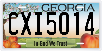 GA license plate CXI5014