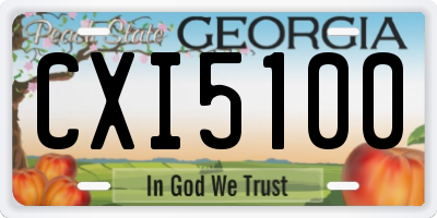 GA license plate CXI5100