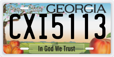 GA license plate CXI5113