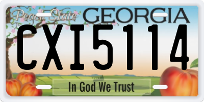 GA license plate CXI5114