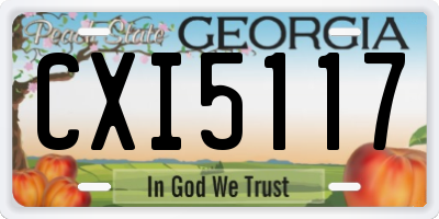 GA license plate CXI5117