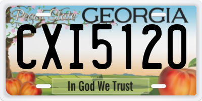 GA license plate CXI5120