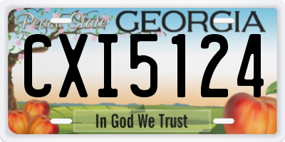 GA license plate CXI5124