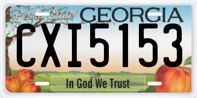 GA license plate CXI5153