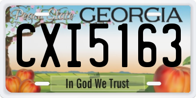 GA license plate CXI5163