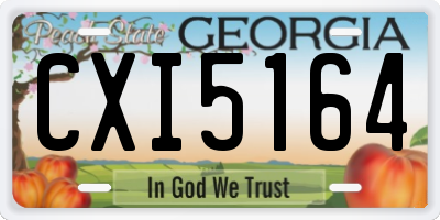 GA license plate CXI5164