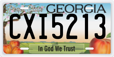 GA license plate CXI5213