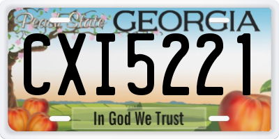 GA license plate CXI5221