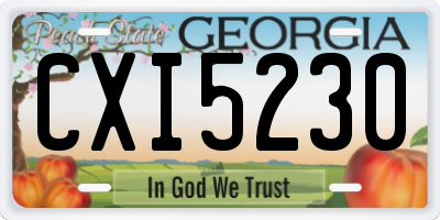 GA license plate CXI5230