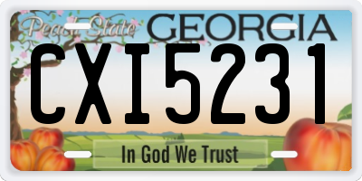 GA license plate CXI5231