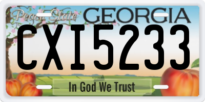 GA license plate CXI5233