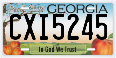 GA license plate CXI5245