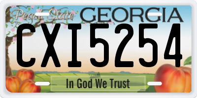 GA license plate CXI5254