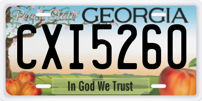 GA license plate CXI5260
