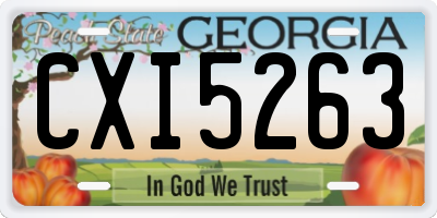 GA license plate CXI5263