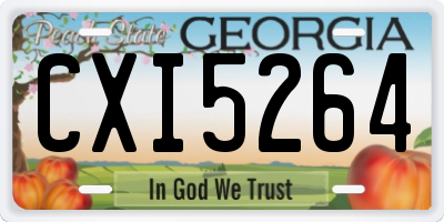 GA license plate CXI5264