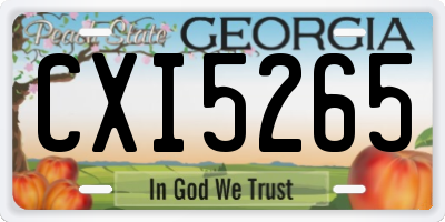 GA license plate CXI5265