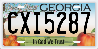 GA license plate CXI5287