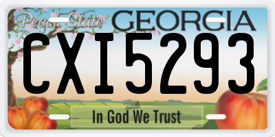 GA license plate CXI5293