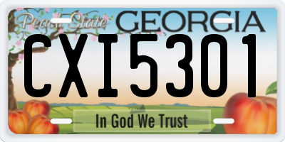 GA license plate CXI5301