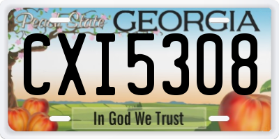 GA license plate CXI5308