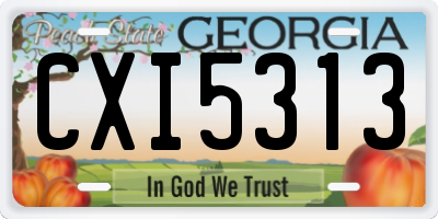 GA license plate CXI5313