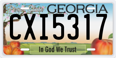 GA license plate CXI5317