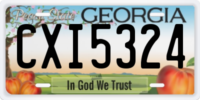 GA license plate CXI5324