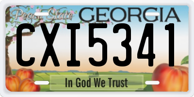 GA license plate CXI5341
