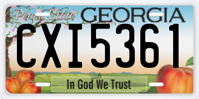 GA license plate CXI5361