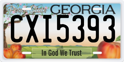 GA license plate CXI5393