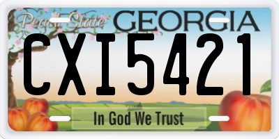 GA license plate CXI5421