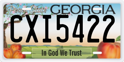 GA license plate CXI5422