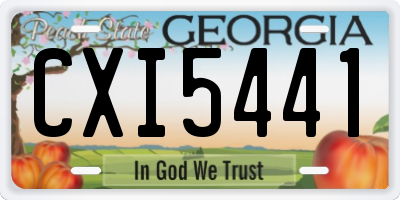 GA license plate CXI5441