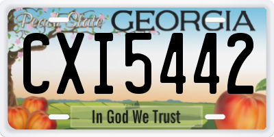 GA license plate CXI5442