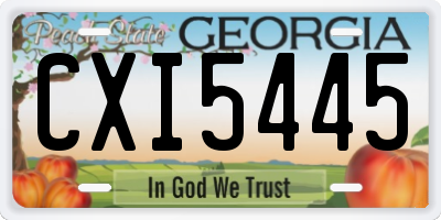 GA license plate CXI5445