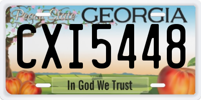 GA license plate CXI5448
