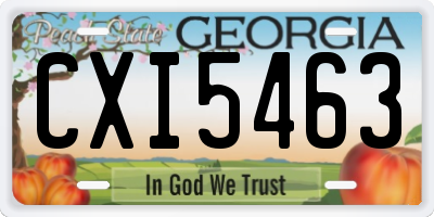 GA license plate CXI5463