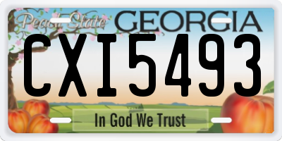 GA license plate CXI5493