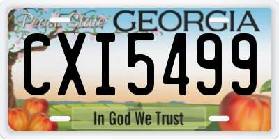 GA license plate CXI5499