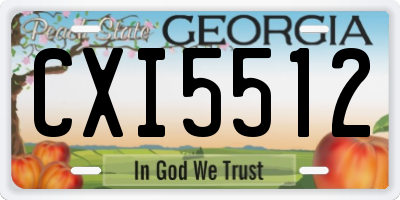 GA license plate CXI5512