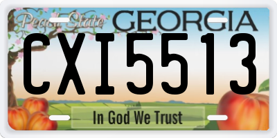 GA license plate CXI5513