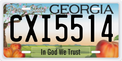 GA license plate CXI5514
