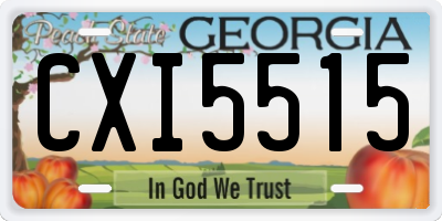 GA license plate CXI5515