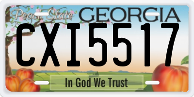 GA license plate CXI5517