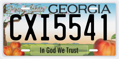 GA license plate CXI5541